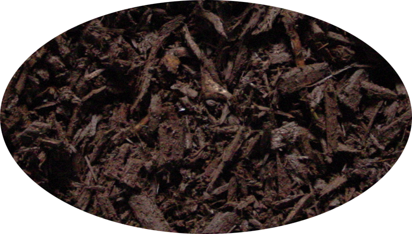 Dark-Brown-Mocha-bombacimulch
