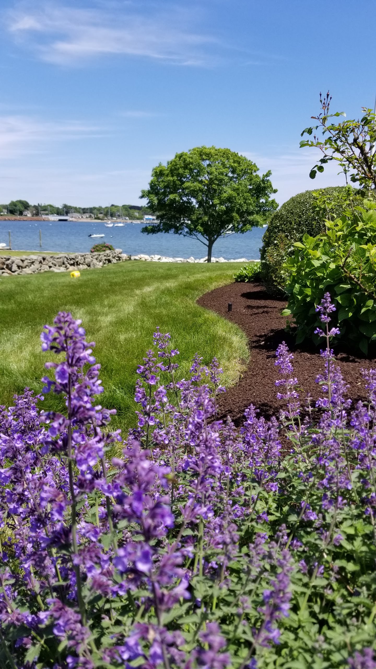 MUlch by water MUlch by water