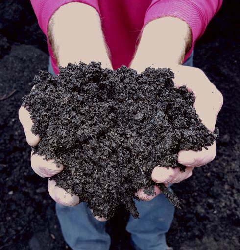 compost-bombacimulch